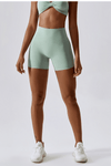 Carla-  Seamless Shorts